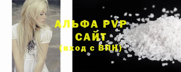 прущие крисы Бородино