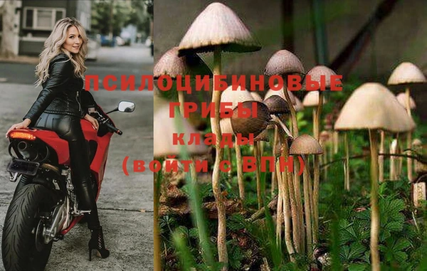 кокаин перу Богородицк