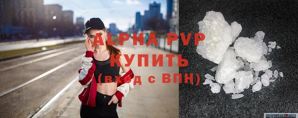 прущие крисы Бородино