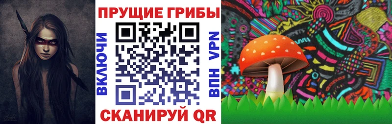 дарнет шоп  Дубовка  ссылка на мегу ТОР  Галлюциногенные грибы ЛСД 